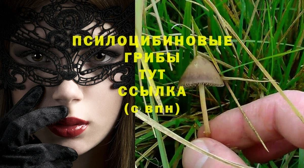 гидра Киреевск
