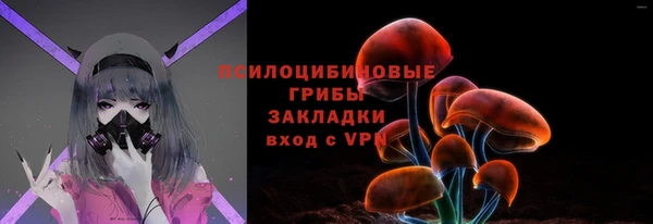 гидра Киреевск