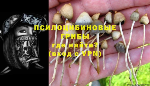 прущая мука Кинешма