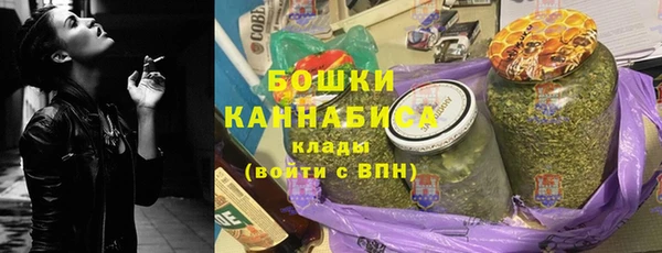 гидра Киреевск
