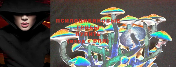 гидра Киреевск